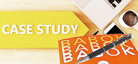 BABOK exam case studies example
