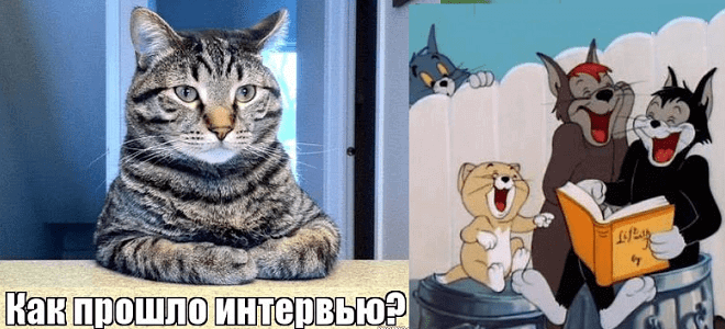 курсы BABOK, обучение BABOK, авторизованные курсы IIBA россия, BABOK на русском, изучение BABOK®Guide , курсы бизнес-анализа, обучение бизнес-анализу,, курсы длля бизнес-аналитиков, обучение бизнес-аналитиков, бизнес аналитик обучение, курсы для начинающих аналитиков, основы бизнес-анализа, интервью vs семинар, взаимодействие со стейкхолдерами, техники BABOK